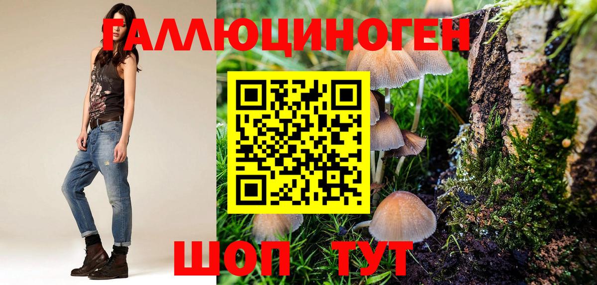 Псилоцибиновые грибы прущие грибы Троицк