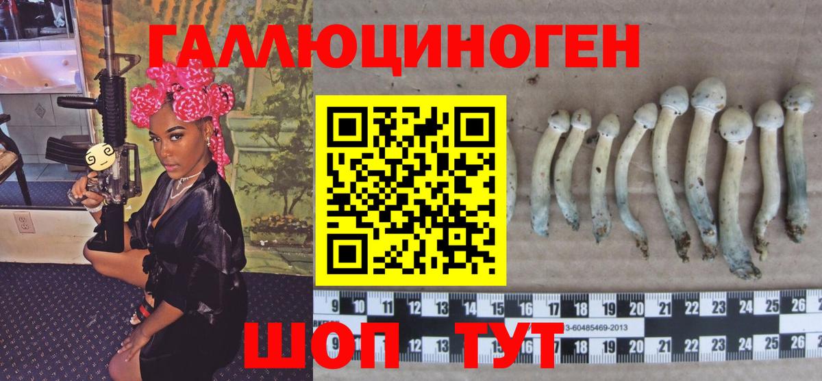 Псилоцибиновые грибы Psilocybe  Псилоцибиновые грибы прущие грибы  Вход с VPN  закладка  Троицк 